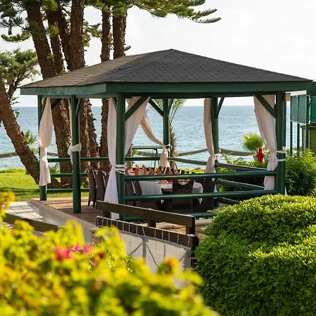 Aqi Pegasos Avsallar